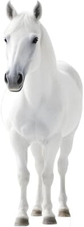 White Horse Life Size Cardboard Cutout Standup, 5FT, 1 PC by Unknown