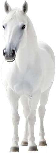 White Horse Life Size Cardboard Cutout Standup, 5FT, 1 PC by Unknown