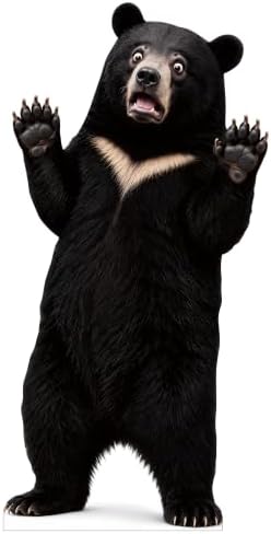 Funny Black Bear Life Size Cardboard Cutout Standee, 5FT by 111PRINT