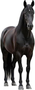 Black Horse 1FT Life Size Cardboard Cutout Animal Standup, 1 PC by Unknown