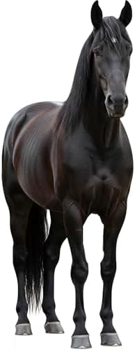 Black Horse Life Size Cardboard Cutout, 2FT Animal Standup by Unknown