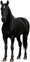 Horse 3FT Life Size Cardboard Cutout, 1 PC by DP+BOUTIQUE