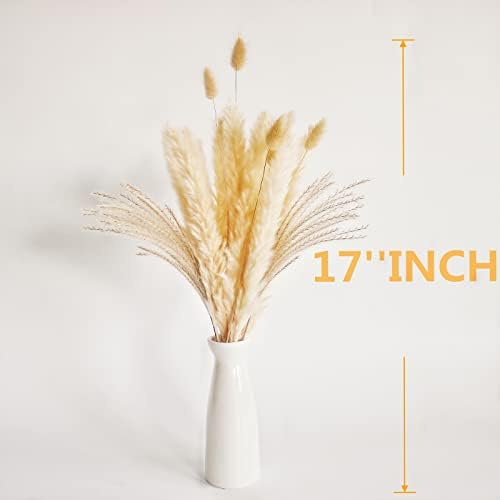 Natural Dried Pampas Grass Decor, Beige Pampas Grass, Bunny Tails Dried Flowers, Reed Grass Bouquet for Wedding Boho Flowers Home Table Decor, Rustic Farmhouse Party (100 in Total ) - Image 4