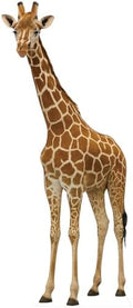 Giraffe Life Size Cardboard Cutout, 6FT Fun Animal Standup, 1 PC by Unknown