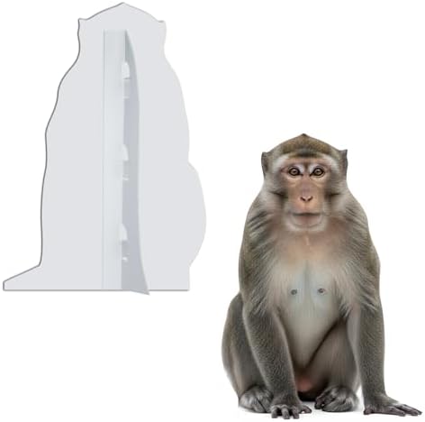 Monkey 2FT Life Size Cardboard Cutout, Fun Animal Standup, 1 PC - Image 4