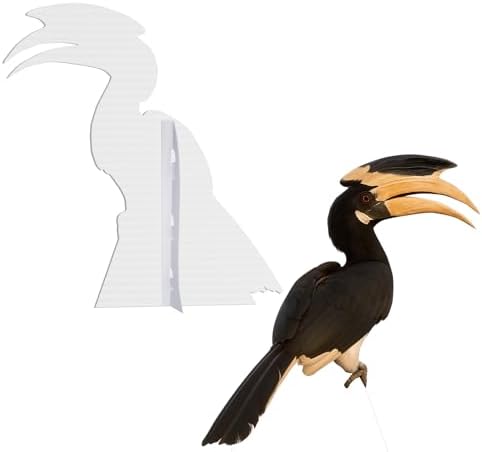 Hornbill 2FT Life Size Cardboard Cutout, 1 PC - Image 3
