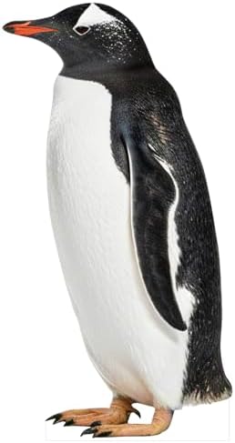 Penguin Cardboard Cutout, 2FT Life Size, Safari Theme, 1 PC by 111PRINT
