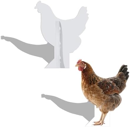 Hen 5FT Life Size Cardboard Cutout, Farm Animal Cutouts - Image 3