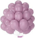 PartyWoo Dusty Purple Balloons 50pcs Lavender Boho Neutral Color 12 Inch by PartyWoo