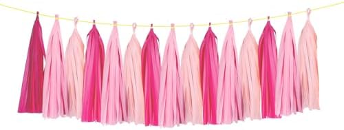 ZOOYOO Tassel Garland Tissue Paper Tassel Banner Table Decor,DIY Kits for Girls Women Birthday,Wedding,Bridal Shower,Bachelorette,Anniversary,Pack of 15(Hot-Pink,Light-Pink) by ZOOYOO