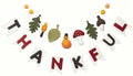 Folkulture Premium Fall Garland, Wool, Mushroom Decor, Thankful - 72 Inch by Folkulture