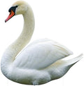 Swan 6FT Life Size Cardboard Cutout Standup, Safari Theme, 1 PC by 111PRINT