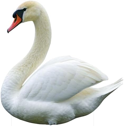 Swan 4FT Life Size Cardboard Cutout, Safari Theme Decoration, 1 PC by 111PRINT