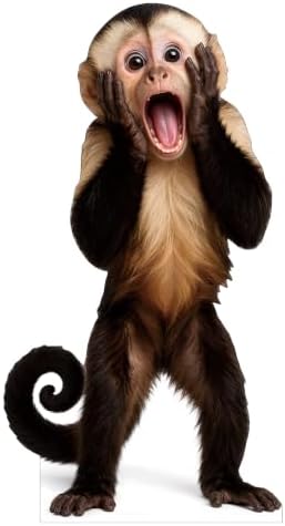 Funny Capuchin Monkey Life Size Cardboard Cutout Standee, 2FT by 111PRINT