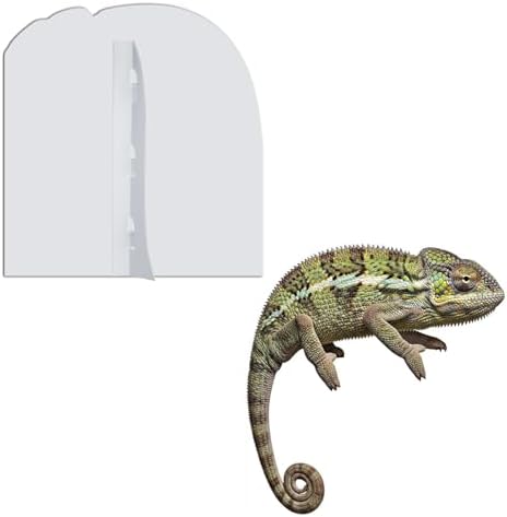 Chameleon 3FT Life Size Cardboard Cutout, Animal Standup, 1 PC - Image 4