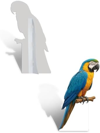 Parrot 1FT Life Size Cardboard Cutout Animal Standup, 1 PC - Image 3