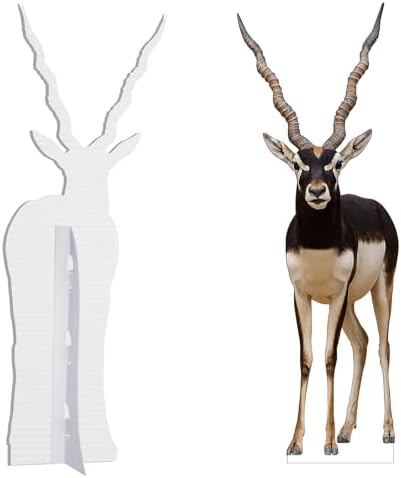 Antelope 1FT Life Size Cardboard Cutout, 1 PC - Image 3