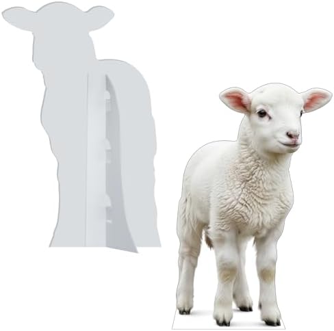 Nativity Lamb Cardboard Cutout, 2FT Life Size, Nativity Scene - Image 4