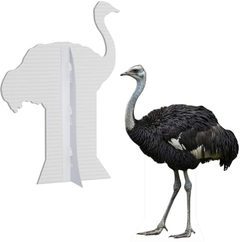 Ostrich 4FT Life Size Cardboard Cutout, 1 PC - Image 3