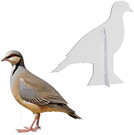 Partridge 6FT Life Size Cardboard Cutout, 1 PC - Image 3