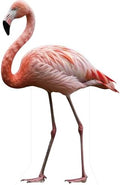 Flamingo 3FT Life Size Cardboard Cutout, 1 PC by DP+BOUTIQUE