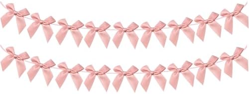 2pcs Bow Garland Banner, Ribbon Bow Party Decorations for Baby Shower Girls Bow Coquette Birthday Party Decor (Peach Pink) by Haptda