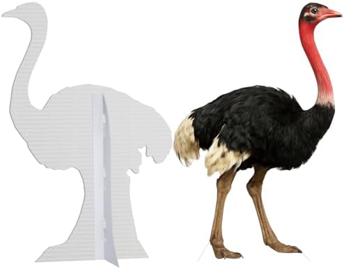 Ostrich 1FT Life Size Cardboard Cutout Fun Animal Standup 1PC - Image 3