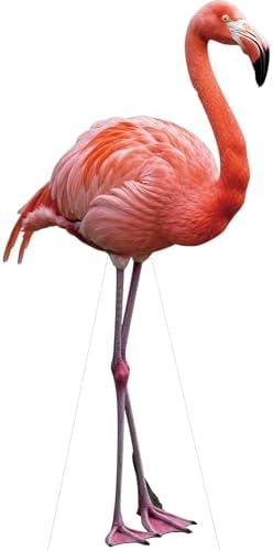 Flamingo 3FT Life Size Cardboard Cutout, 1 PC for Party Decor by Unknown