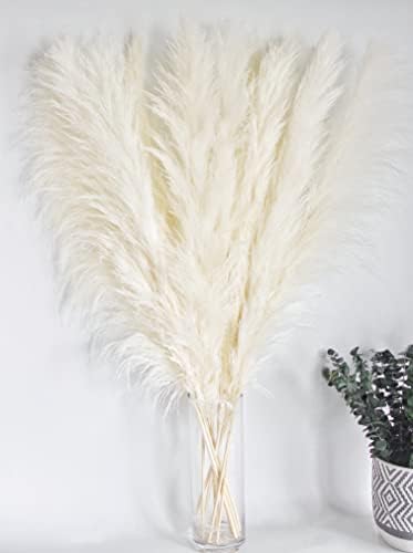 10 Stems 46" inch White Pampas Grass Decor Tall, Large Pompas Grass, Boho Neutral Home Decor Bouquet, Fluffy Pampass Grass for Floor Vase Wedding Floral Arrangements Wall Farmhouse Table Decor - Image 4