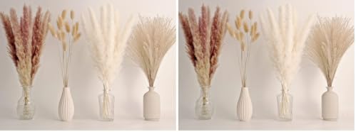 65PCS Pampas Grass Decor, Including pompas Floral, Reed Dried Grass and Bunny Tails Dried Flowers, Natural Dried Pampas Grass Bouquet for Boho Decor Wedding, Home Decoration (Pack of 2) by ANPROOR