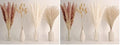 65PCS Pampas Grass Decor, Including pompas Floral, Reed Dried Grass and Bunny Tails Dried Flowers, Natural Dried Pampas Grass Bouquet for Boho Decor Wedding, Home Decoration (Pack of 2) by ANPROOR