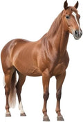 Horse 5FT Life Size Cardboard Cutout, 1PC, for Birthday Party by Unknown