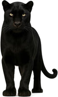 Black Banther 5FT Life Size Cardboard Cutout, Party Decor, 1 PC by DP+BOUTIQUE