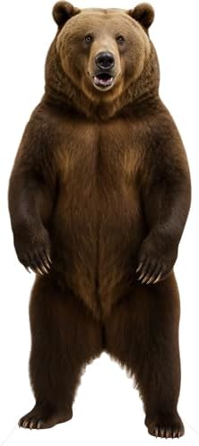 Bear 1FT Life Size Cardboard Cutout, Safari, Alaskan Animals by DP+BOUTIQUE