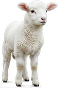 Nativity Lamb 5FT Life Size Cardboard Cutout, Christmas, 1 PC by 111PRINT