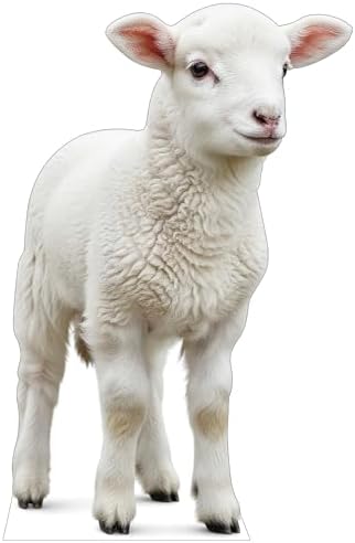 Nativity Lamb 6FT Life Size Cardboard Cutout, Xmas Photo Prop by 111PRINT