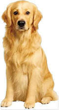 Dog 5FT Life Size Cardboard Cutout, 1 PC by DP+BOUTIQUE