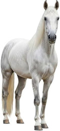 White Horse Life Size Cardboard Cutout 5FT 1 PC, for Party Decor by Unknown