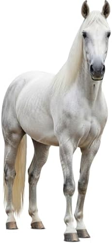 Life Size Cardboard Cutout White Horse 3FT 1 PC, for Party Decor by Unknown