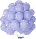 PartyWoo Dusty Purple Balloons 50pcs Lavender Lilac Boho Neutral Color by PartyWoo
