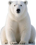 Polar Bear 5FT Life Size Cardboard Cutout, Party Decor, 1 PC by DP+BOUTIQUE