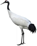 Red-Crowned Crane Life Size Cardboard Cutout, 4FT Standup, 1 PC by Unknown