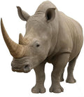 Rhinoceros 5FT Life Size Cardboard Cutout, 1 PC by DP+BOUTIQUE