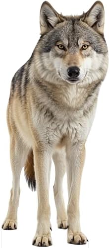 Wolf Cardboard Cutout 3FT Life Size, Safari Theme, 1 PC by 111PRINT