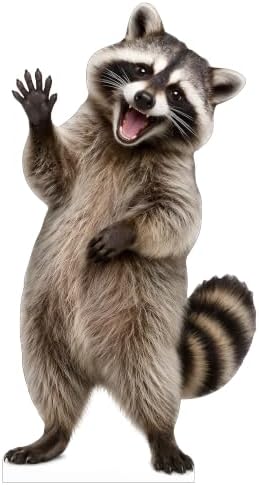 Funny Raccoon Life Size Cardboard Cutout Standee, 6FT by 111PRINT