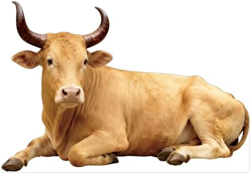 Nativity Brown Cow 4FT Life Size Cardboard Cutout, 1 PC by DP+BOUTIQUE