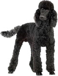 Poodle 5FT Life Size Cardboard Cutout, 1 PC by DP+BOUTIQUE