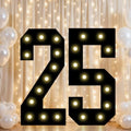 Pooqla 25th Birthday Decorations for Him, 2.4FT Light Up Numbers by Pooqla