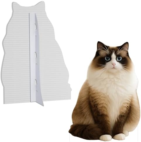 Pointed Ragdoll Cat 3FT Life Size Cardboard Cutout, 1 PC - Image 3