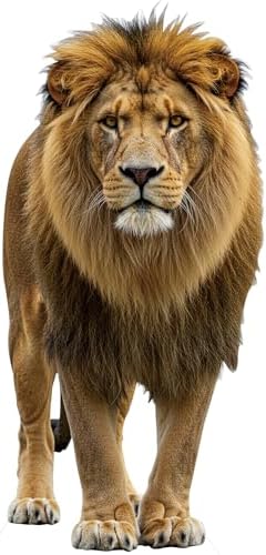 Lion 2FT Life Size Cardboard Cutout Standup for Events, 1 PC by Unknown